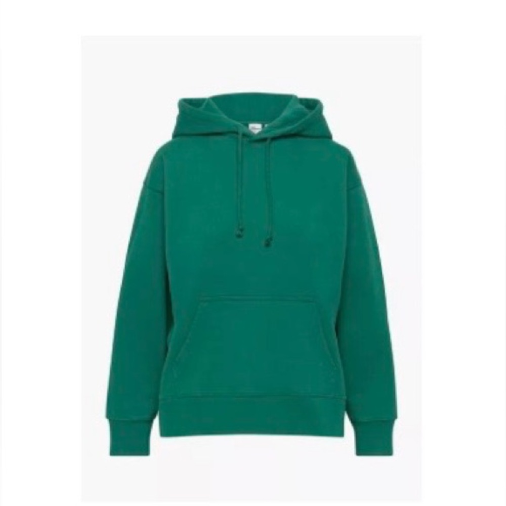 NWOT Aritzia Tna EXTRA FLEECE BOYFRIEND HOODIE